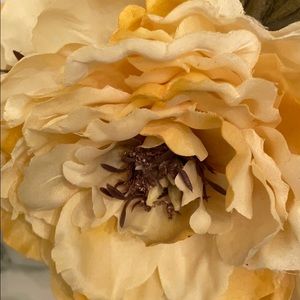 Meet your Posher, Patsy